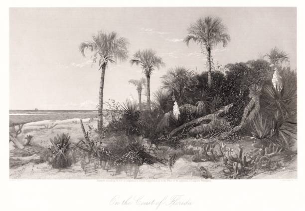 Florida coastline and beach, USA. Steel and wood illustration engravings published 1872. This edition edited by William Cullen Bryant is in my private collection. Copyright is in public domain.
