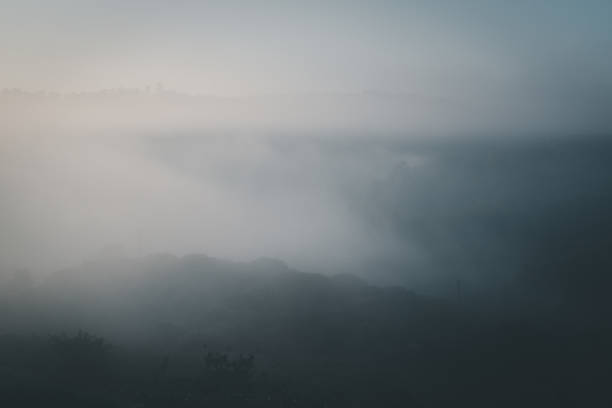 istock Beautiful sunrise over foggy forest 1469026497