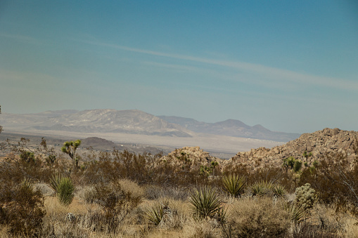 Dry landscape of Joshua Tree National park and the mountains and sand dunes in the distance