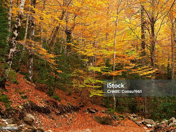 Photo libre de droit de Lautomne banque d'images et plus d'images libres de droit de Automne - Automne, Huesca, Parc National d'Ordesa