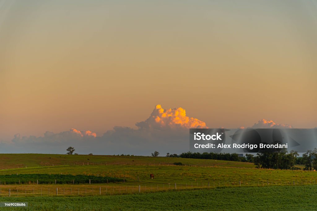 Dusk in the landscape of the pampa biome Dusk in the landscape of the pampa biome. Rural landscape. area of fields in southern Brazil. Border region of Brazil, Argentina and Uruguay. Agricultural Field Stock Photo