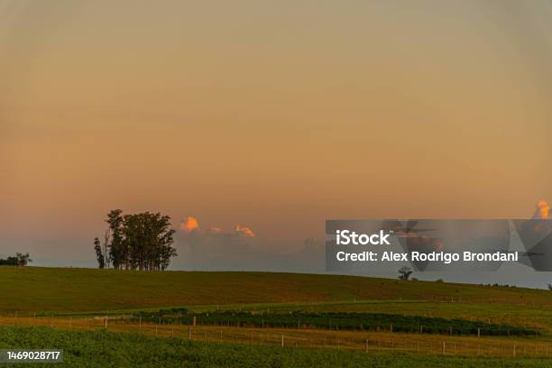 Dusk In The Landscape Of The Pampa Biome Stock Photo - Download Image Now - Agricultural Field, Agriculture, Beauty