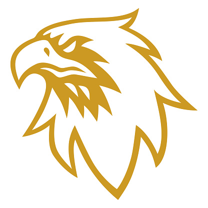 Gold Eagle Hawk Golden Falcon Logo Design Vector Icon Template