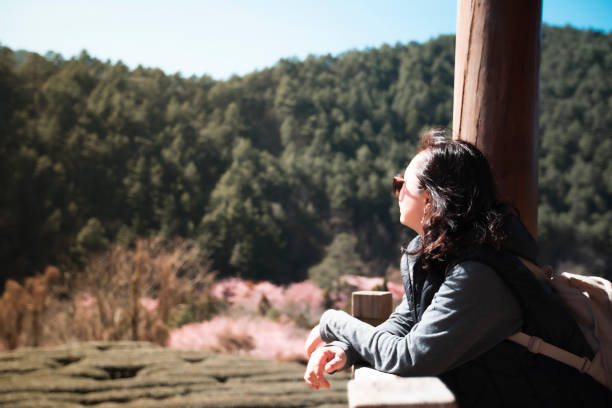 istock Happy Moments Outdoors,Cherry blossoms in spring, Taiwan 1469029493