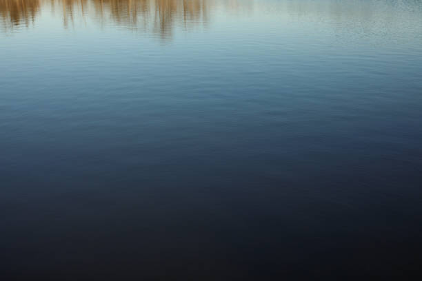 Water reflection showing nature lake and city