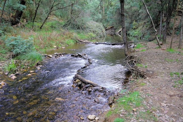 Bright,  Victoria,  Australia Morses Creek running through the township in the High Country murray darling basin stock pictures, royalty-free photos & images