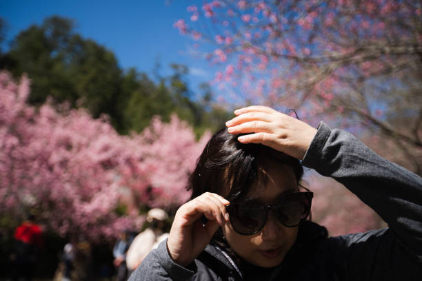 Happy Moments Outdoors,Cherry blossoms in spring, Taiwan
