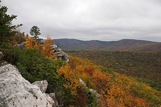 Tibbet Knob The Tibbet knob overlook in George Washington National Forest, West Virginia george washington national forest stock pictures, royalty-free photos & images