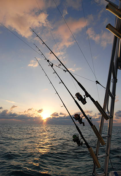 istock Fishing Poles on a boat 146903222