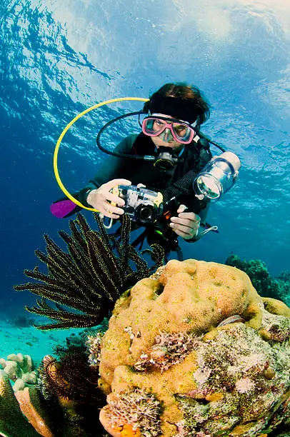 Diver with camera along the reef and starfish, underwater photographer, Lembeh, Asia