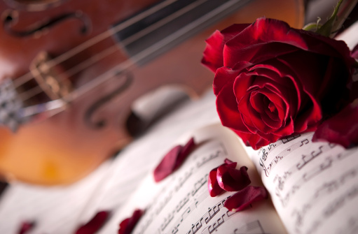 Violin, rose and leafs with musical notes, photographed in a studio