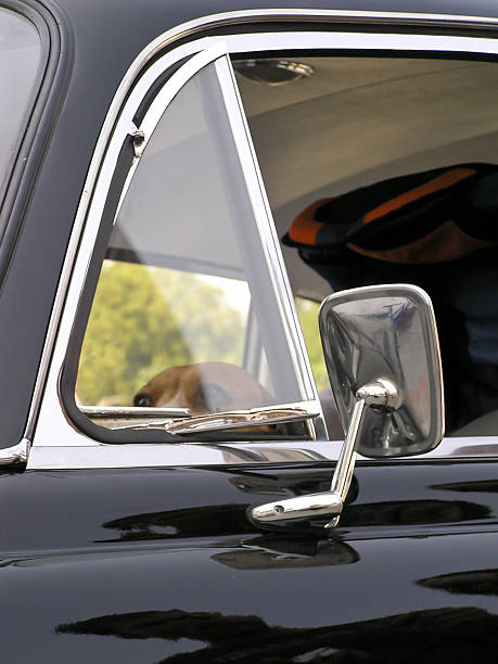istock Dog in the car 146903575