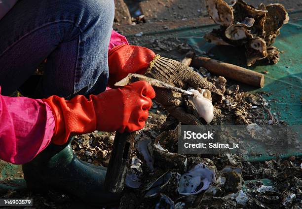 Рыбак Собирать Устрица — стоковые фотографии и другие картинки Рыбная промышленность - Рыбная промышленность, Устрица, Кисть руки человека