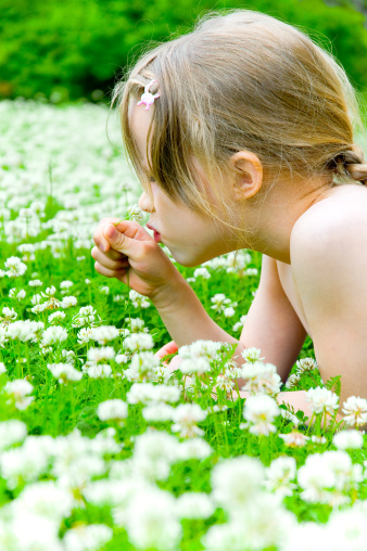 Young girl laying on clover field and smelling flower.