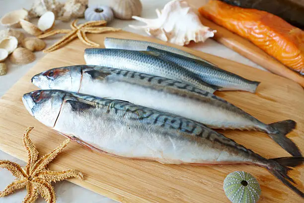 Fresh sea fish, mackerel; herring; smoked salmon