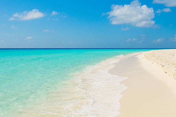 istock tropical beach, los roques islands, venezuela 146905368
