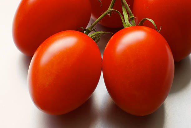 fresh red tomatoes stock photo