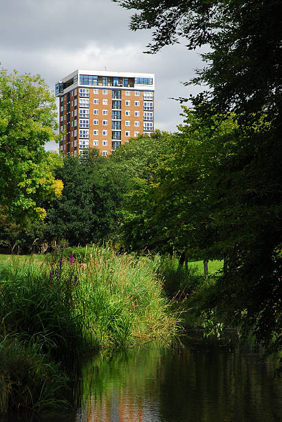 Tower Block Seen From A Park stock photo