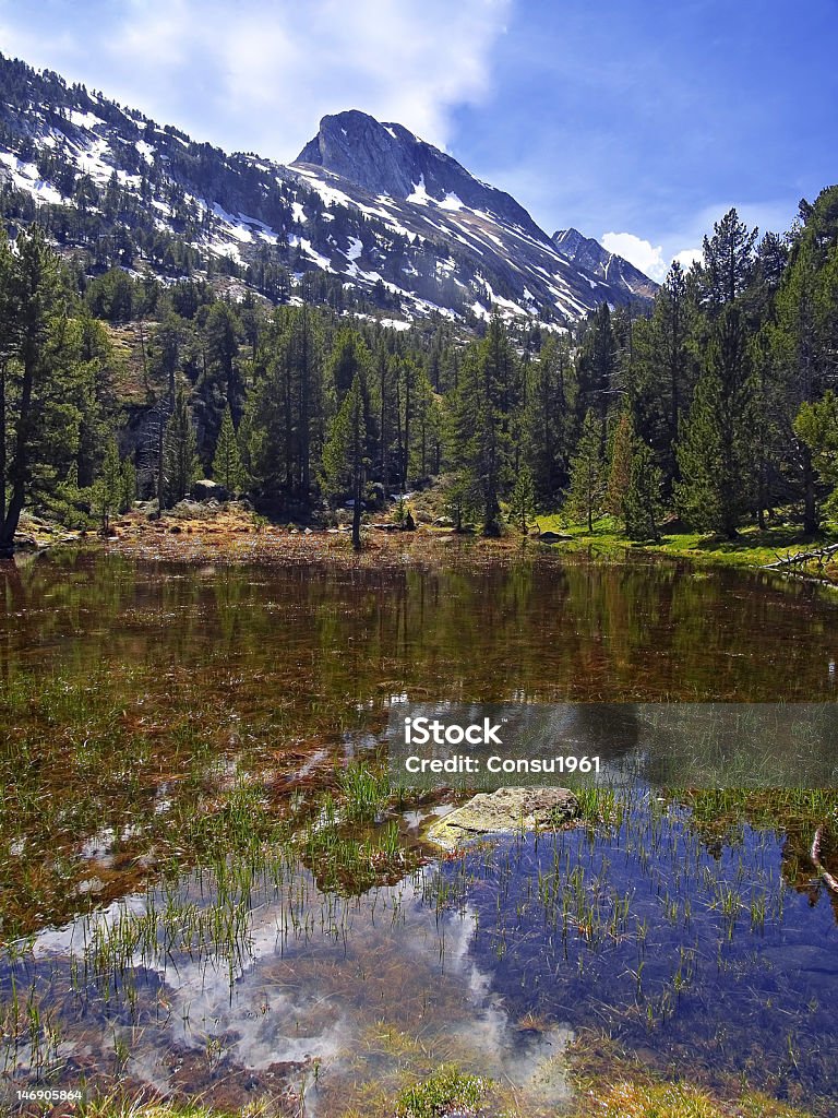 Valle Benasque' - Foto de stock de Abeto libre de derechos