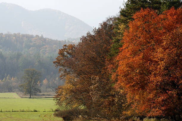 istock autumn, cades cove 146906082