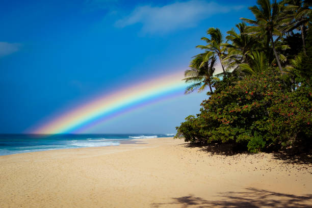 regenbogen am sunset beach oahu hawaii - oahu water sand beach stock-fotos und bilder