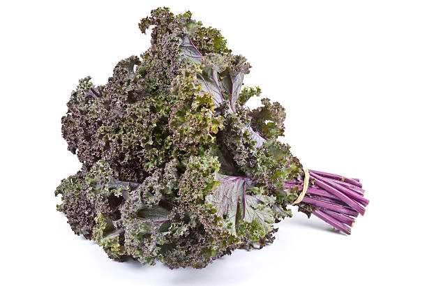 istock Purple Kale Isolated on White 146906381