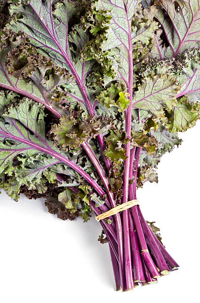 istock Purple Kale Isolated on White 146906399