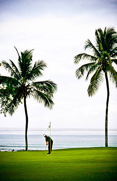 istock Golf player in front of caribbean sea 146906426