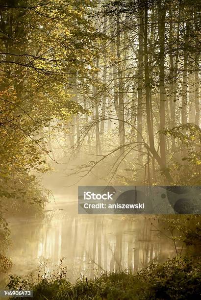 Photo libre de droit de Rivière Dans La Forêt Dautomne Brumeux À Laube banque d'images et plus d'images libres de droit de Fleuve et rivière - Fleuve et rivière, Éthéré, Forêt