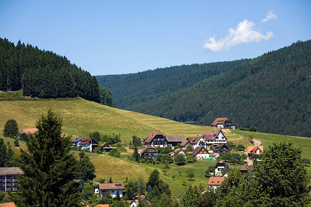 istock Baiersbronn,Landscape in Black Forest,Germany 146906554