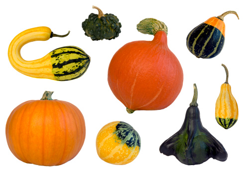 Various Pumpkins and Squashes (cutout).