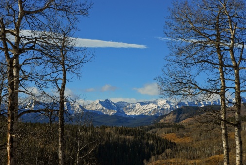 Between the trees looms a rugged yet beautiful landscape full of mountains and snow.