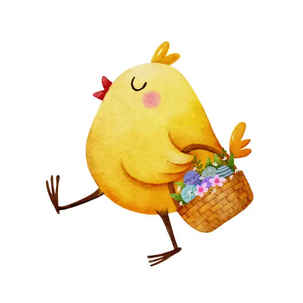 Vector illustration of Watercolor happy Easter chicken walking and holding basket with flower and eggs