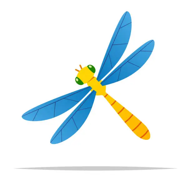 Vector illustration of Dragonfly drawing vector isolated illustration