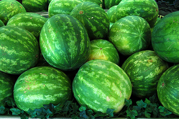 watermelons stock photo