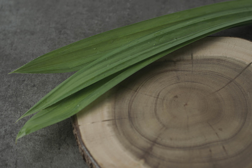 Daun pandan . Aromatic and sweet-smelling pandan leaves, perfect for Indonesian desserts and dishes. Rich in antioxidants, vitamins and minerals.