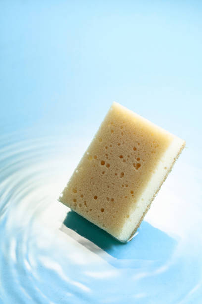 istock The sponge falls into the water. 1469081345