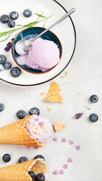 istock Organic blueberry ice-cream on neutral background. 1469081629