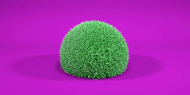 istock Spherical Plant on Purple Background 1469090016