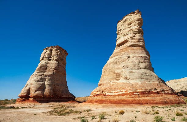 istock Elephant Feet Landmark in the Desert 1469092213