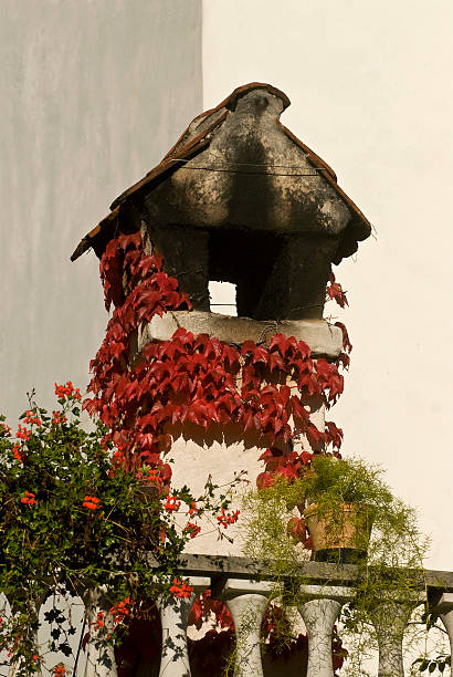 Automne de cheminée - Photo