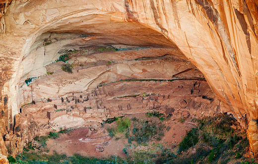 Navajo National Monument In Arizona