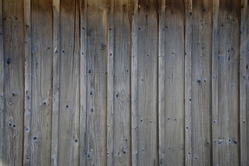 Evening sun shining on a new fence.