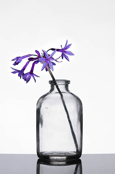 istock Flowers in small bottle on a table 146910309