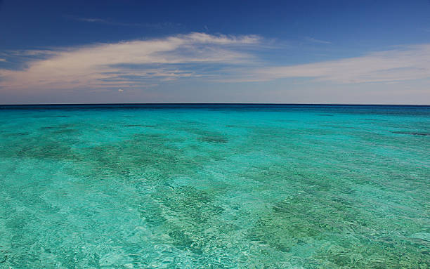 Diving beach crystal clear turquoise water beach in Maria la Gorda, Cuba. maria la gorda stock pictures, royalty-free photos & images