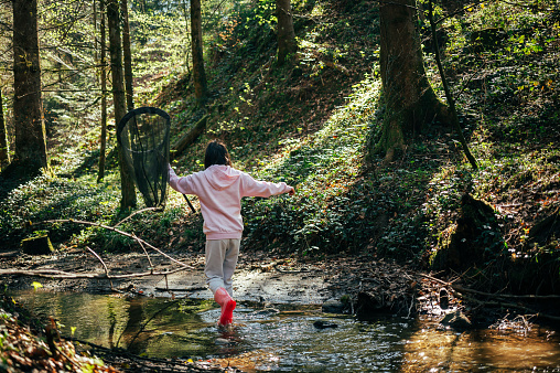 Person in the forest. Asian child fishing with a net to discover nature. One girl in pink playing in a stream in spring.