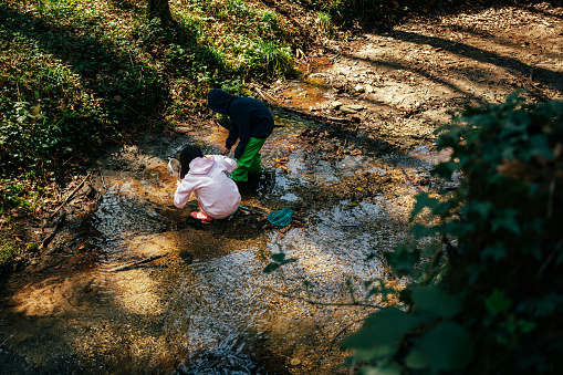 Person in the forest. Two Asian children fishing with a net to discover nature. Asian boy and girl playing at a stream in spring.