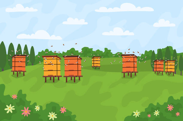蜂の巣箱と空飛ぶミツバチの風景シーンのコンセプトを持つ漫画の色の養蜂場。ベクトル - beehive rural scene bee outdoors点のイラスト素材／クリップアート素材／マンガ素材／アイコン素材