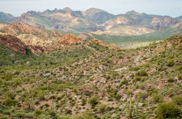 istock Arid Desert Landscape of the Apache Trail 1469108984