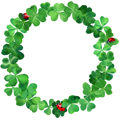 Watercolor drawn clover wreath with ladybugs. Botany frame Illustration with green clover grass and red bugs. Saint Patrick day background. Design for Ireland season holiday, packaging, invites.